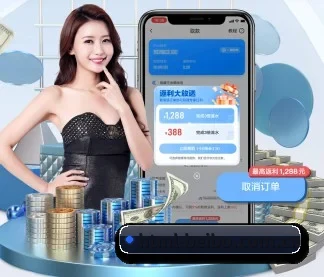 公司成立