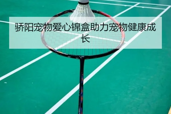 骄阳宠物爱心锦盒助力宠物健康成长