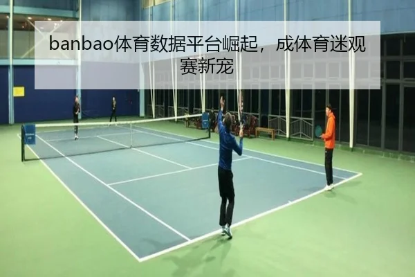 banbao体育数据平台崛起，成体育迷观赛新宠