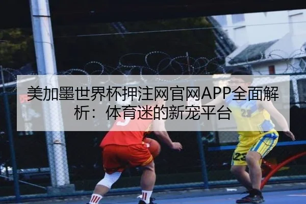 美加墨世界杯押注网官网APP全面解析：体育迷的新宠平台