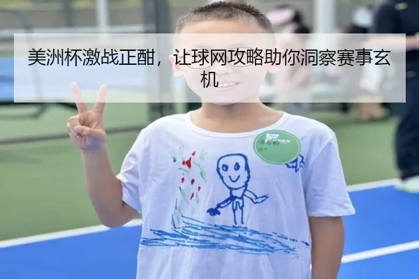 美洲杯激战正酣，让球网攻略助你洞察赛事玄机