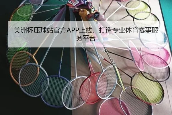 美洲杯压球站官方APP上线，打造专业体育赛事服务平台